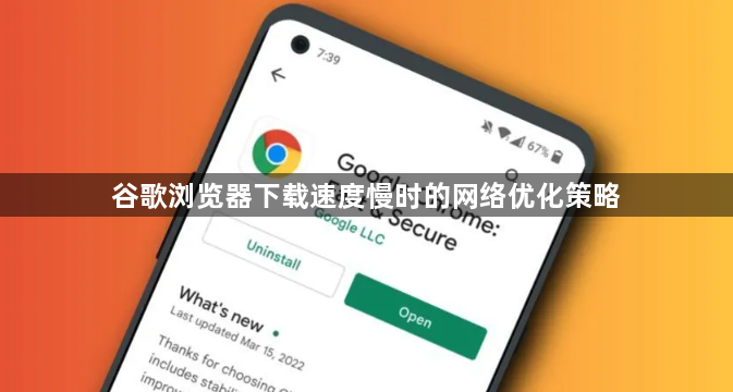 谷歌浏览器下载速度慢时的网络优化策略1