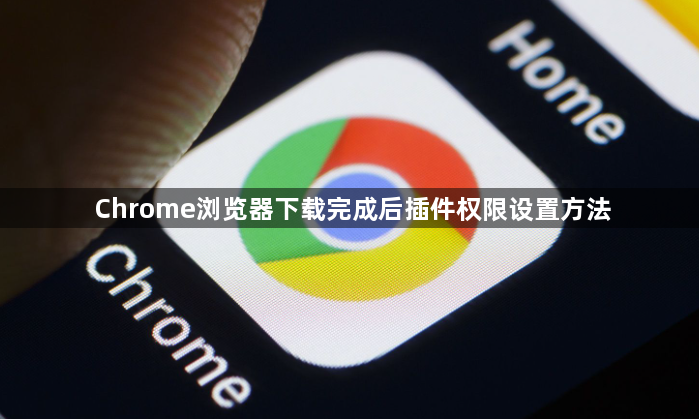 Chrome浏览器下载完成后插件权限设置方法1