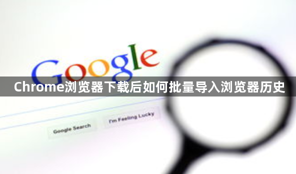 Chrome浏览器下载后如何批量导入浏览器历史1